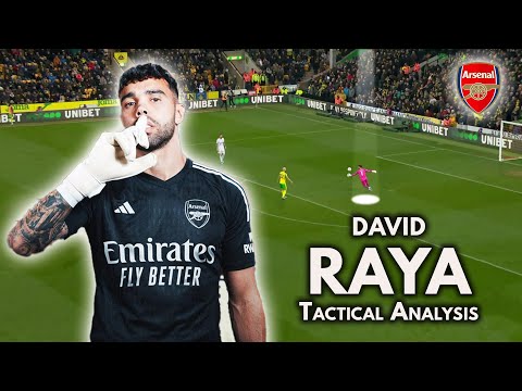 How GOOD is David Raya? ● Tactical Analysis | Skills (HD)