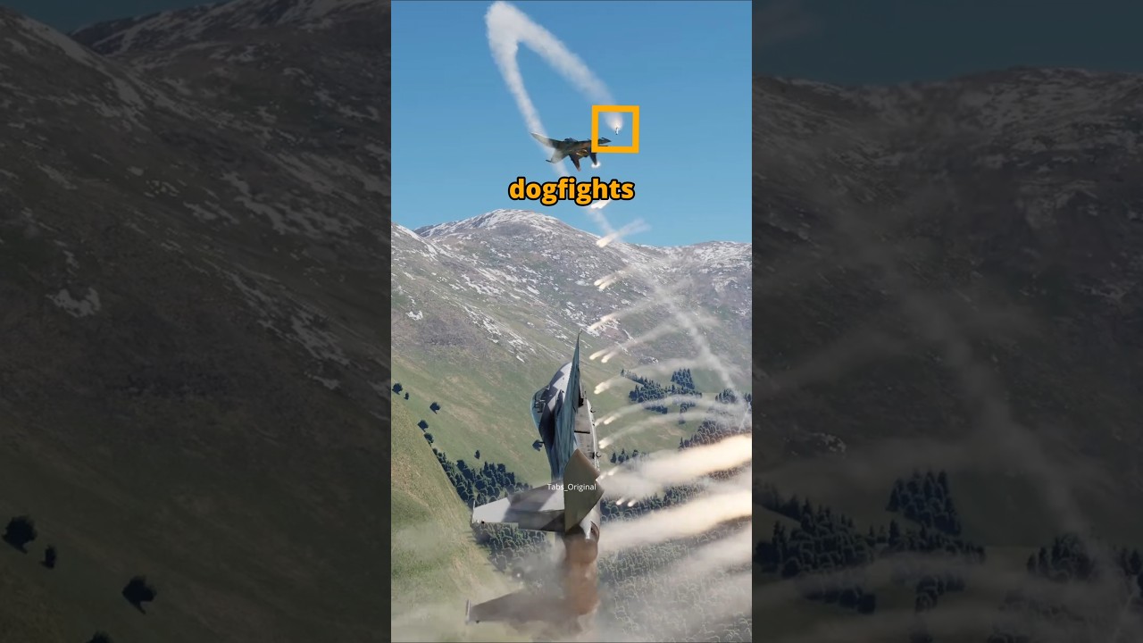How to Win a Dogfight #dcs #simulation