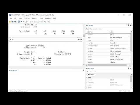 Codebook Command in Stata