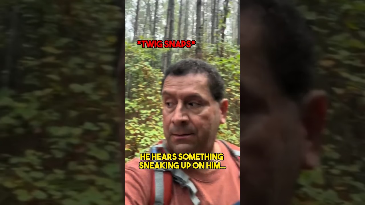 The Most Haunted Forest in America