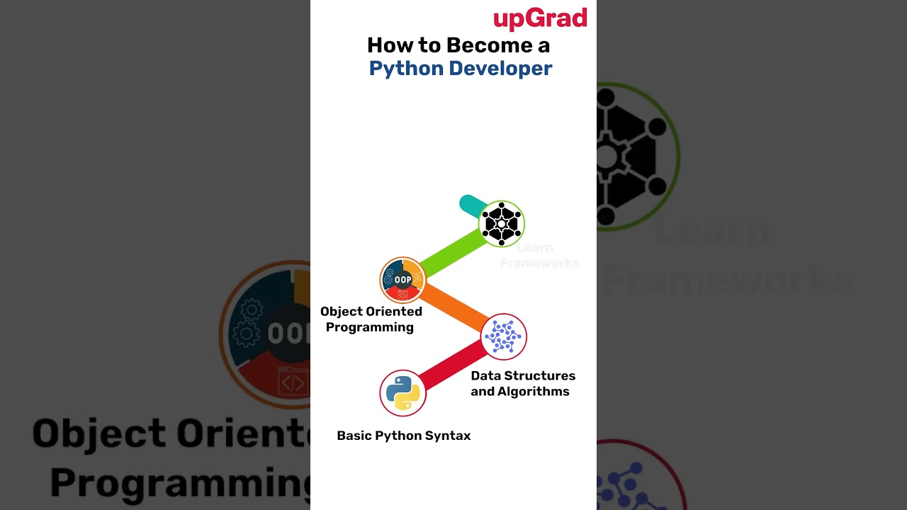 Ultimate Guide to Becoming a Python Developer in 2024 🚀
