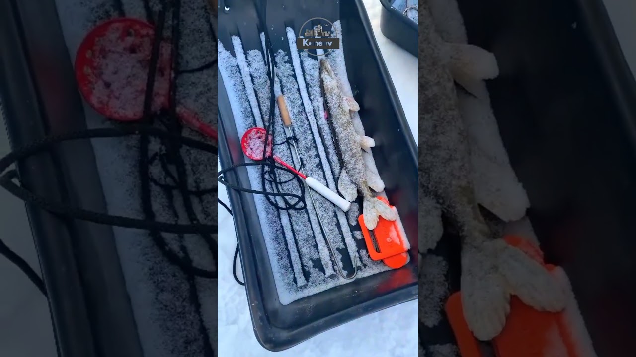 Зимняя рыбалка 2024-2025 в Казахстане 🎣