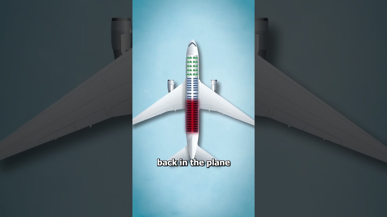 The Plane That Crashed Intentionally (Explained)