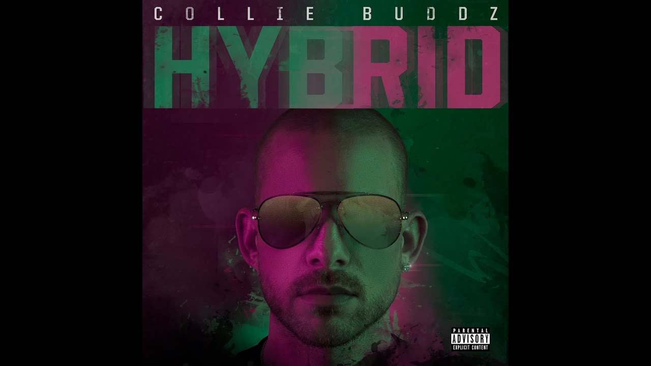 Listen to Collie Buddz's Full Album 'Hybrid' ๐ถ โ Featuring Hits Like 'Love & Reggae' & 'Show Love'