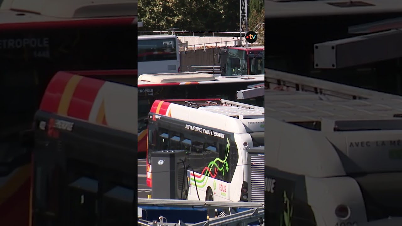 Usagers RTM en colère face aux retards 🚍