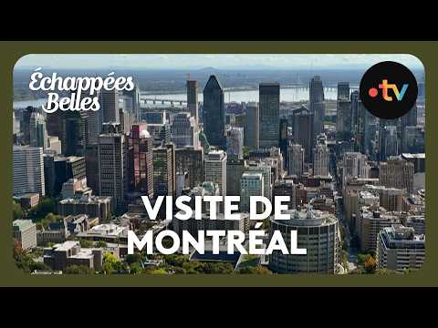 Le Québec : visite du centre historique de Montréal - Échappées belles 14 décembre 2024
