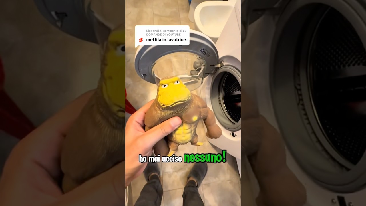 Nessuna scimmia in lavatrice... forse 🙉