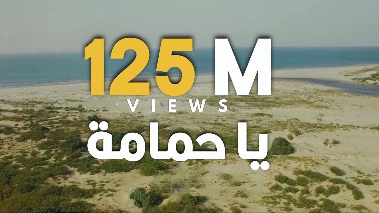 ARTMASTA ft. ChebBachir - Ya Hmema (Official Video) 🎶