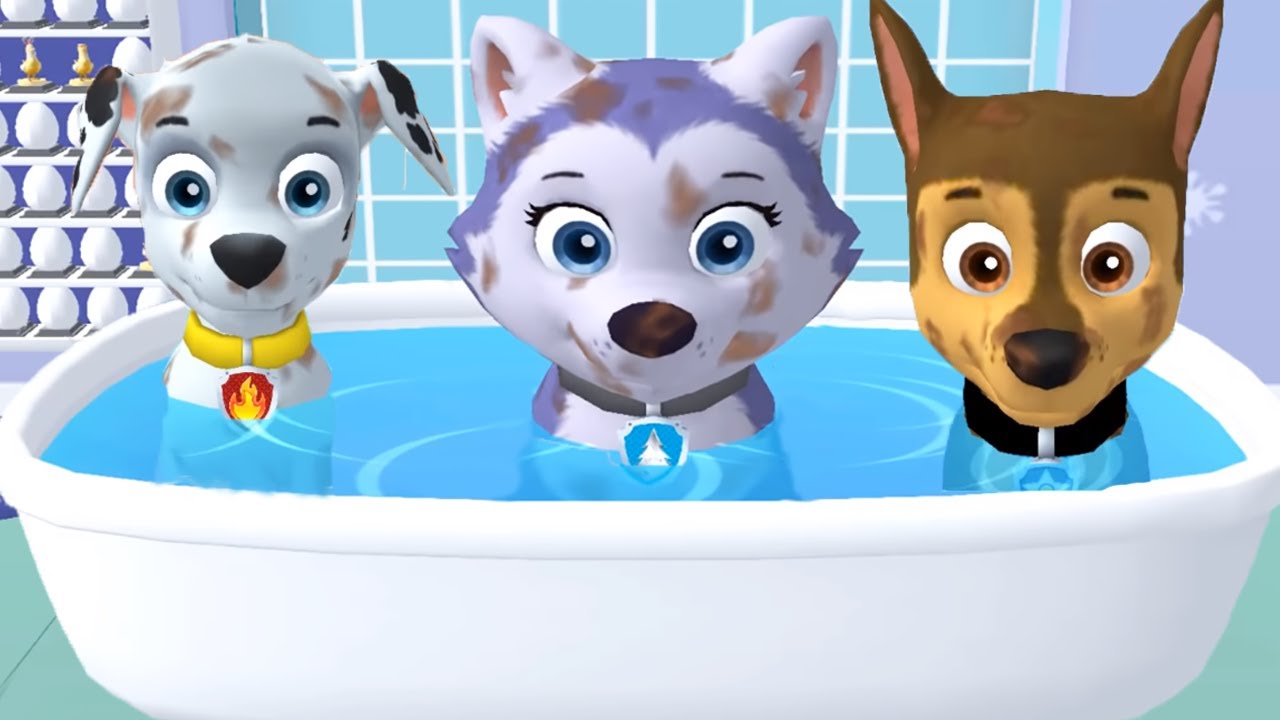 Paw Patrol: Adventure Bay & On a Roll ๐พ