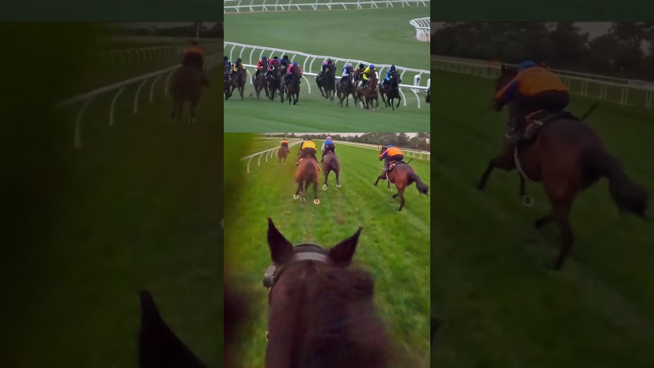 The Antino Affect: Road to the Cox Plate 🏆 | Ep 2