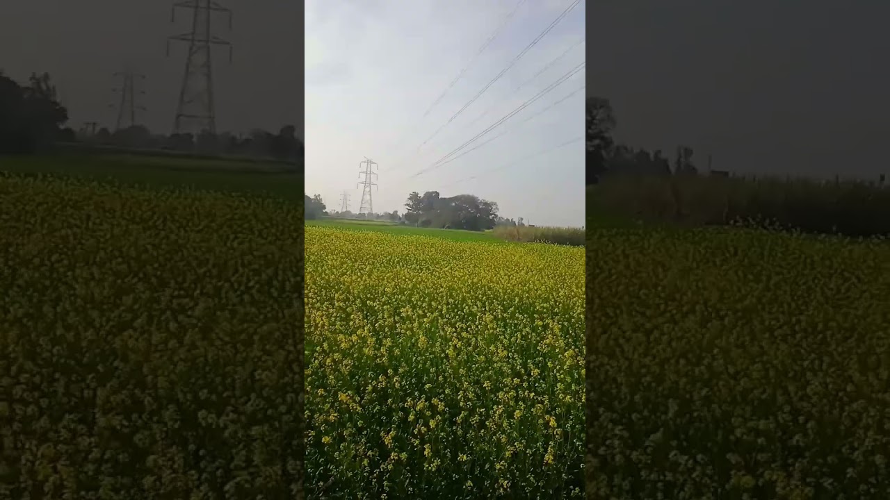 14 Important Date: February 14, 2025