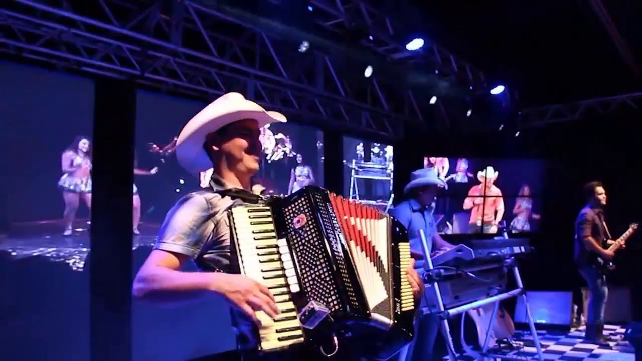 Alemão do Forró - Tapinha na Rachada 🎶