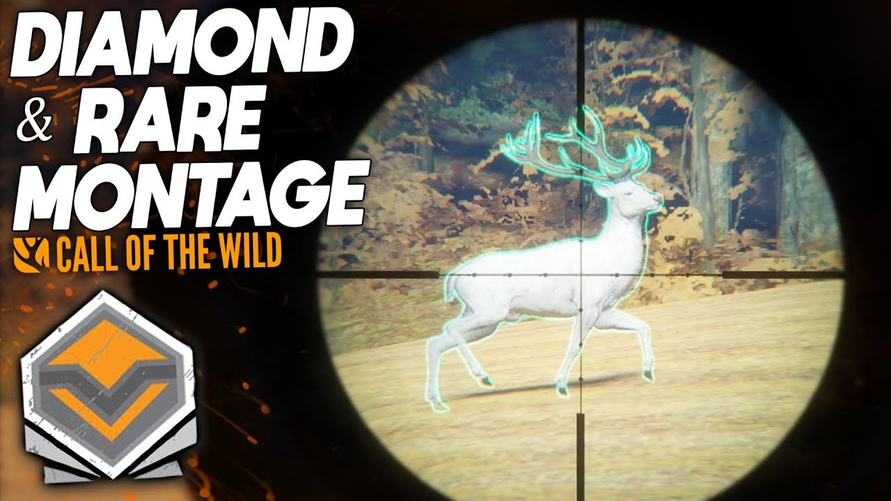 Diamond & Rare Montage #2  | theHunter: Call Of The Wild