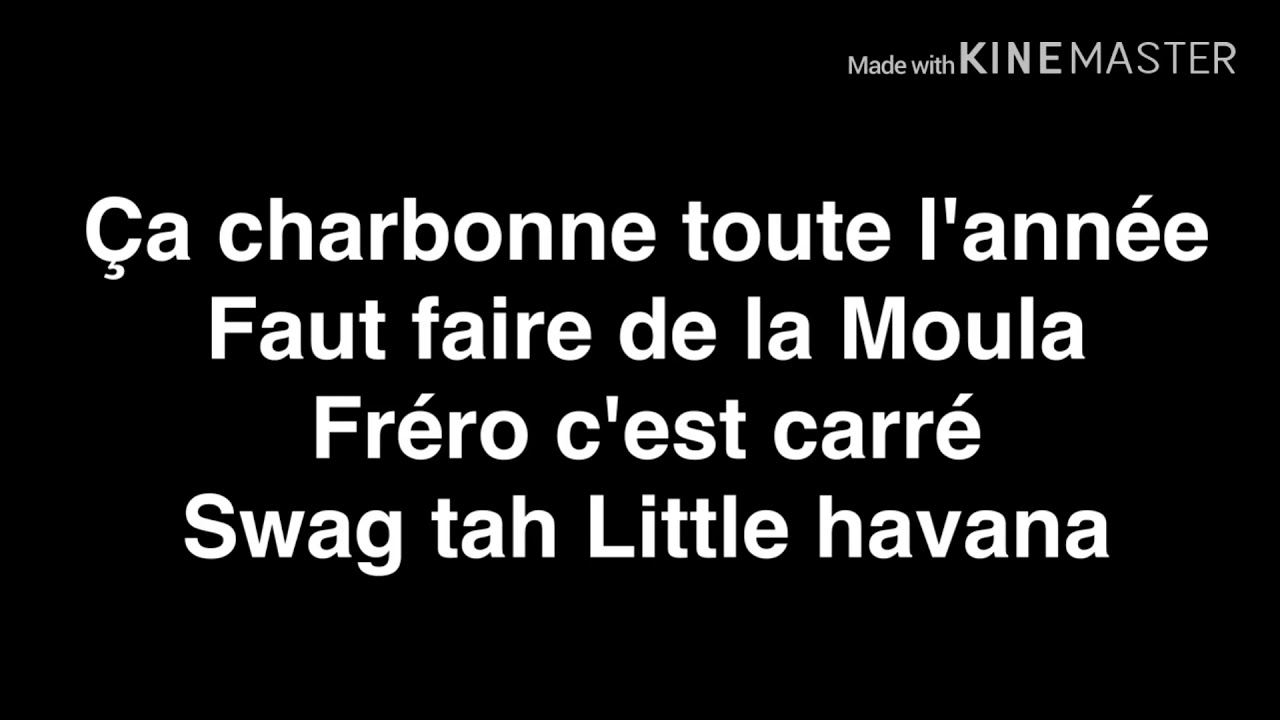 L’Algérino - Mention Max 🎶 Paroles et Lyrics Complets