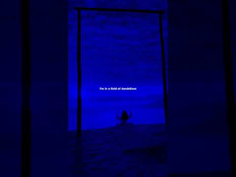 Dandelions - Ruth b | lyrics | aesthetic | whatsapp Status | slowed | speed up | audio #dandelions