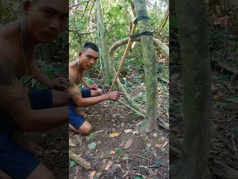 Trapping wild #trap #trapwild #trapskills