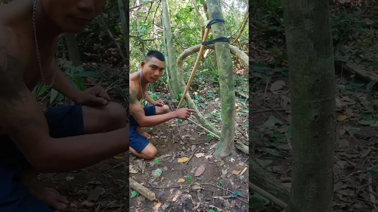 Master the Art of Wild Trap Setting 🧰 | Dramatic Trap Skills Demo