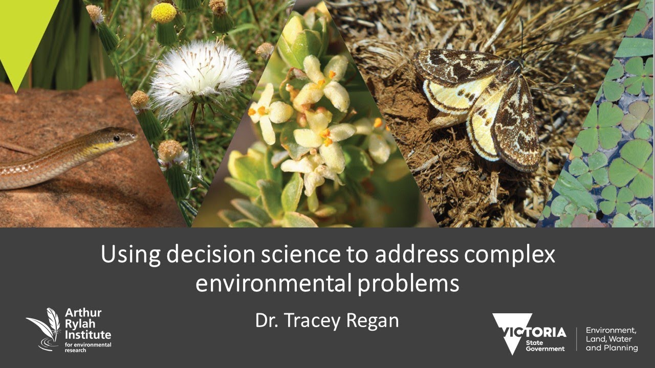 SWIFFT: Applying Decision Science to Tackle Complex Environmental Challenges 🌍