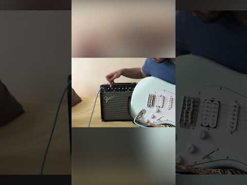 Amfi incelerken korkuyor #shorts