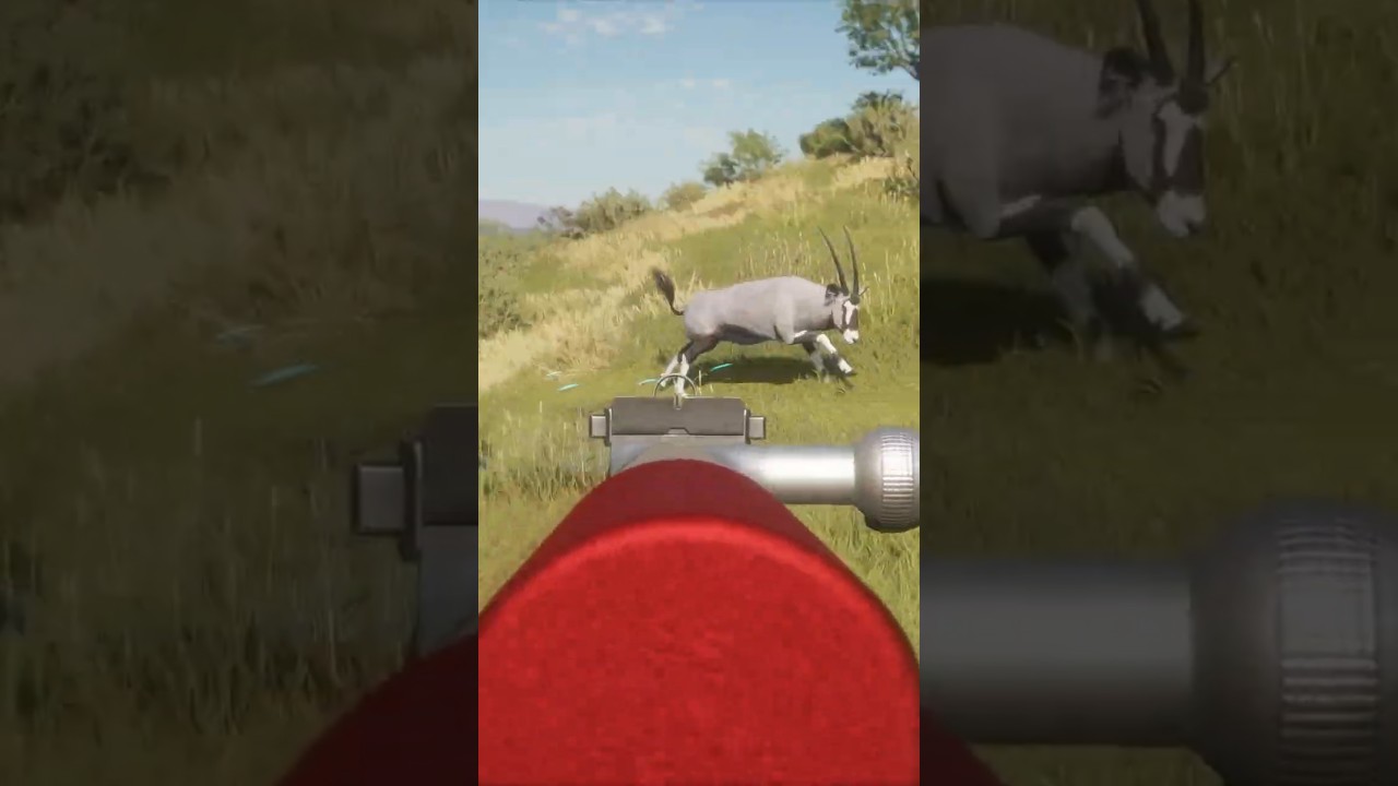 No Choice in Vurhonga Savanna 🦁 | theHunter: Call of the Wild