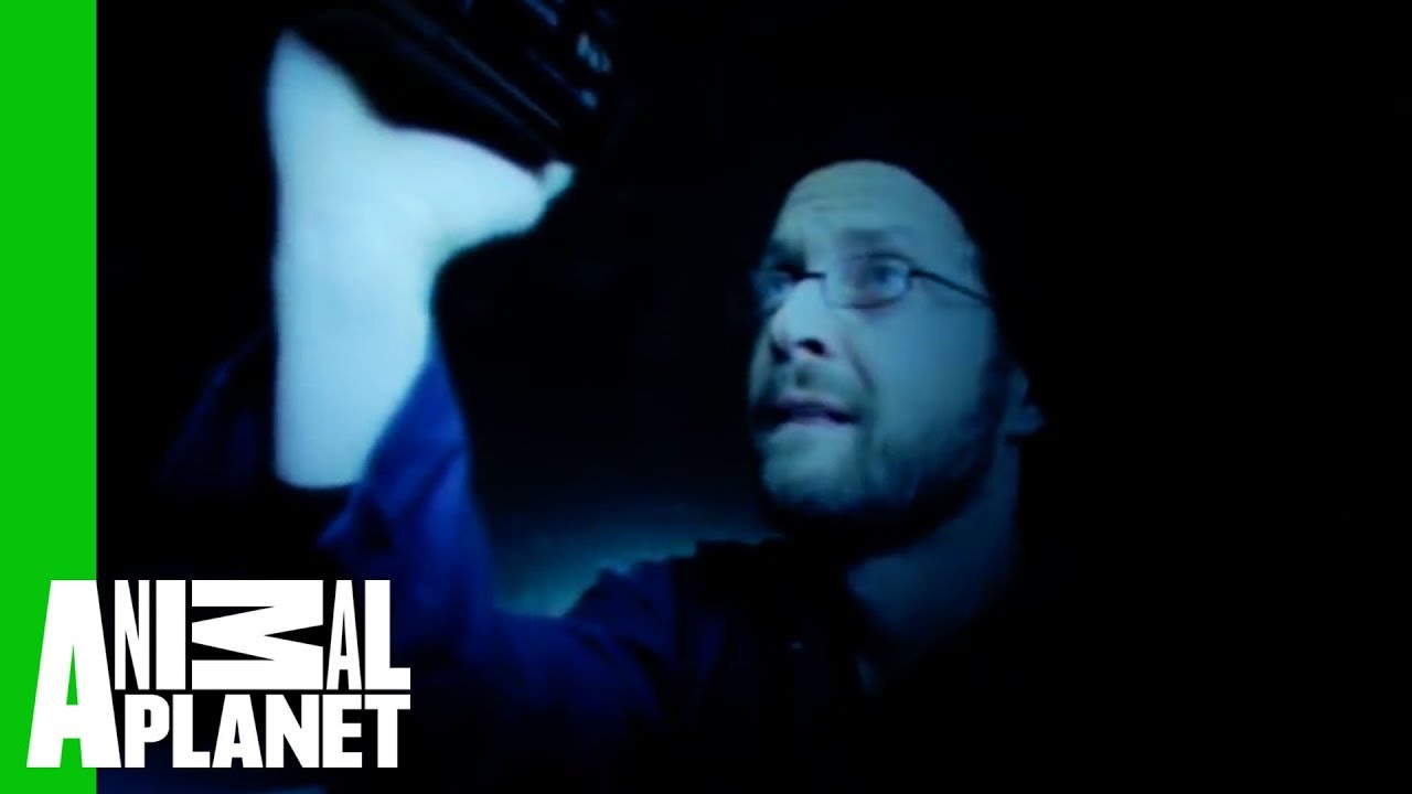 Deep Sea Camera Spots Mermaid Near Submersible 🌊