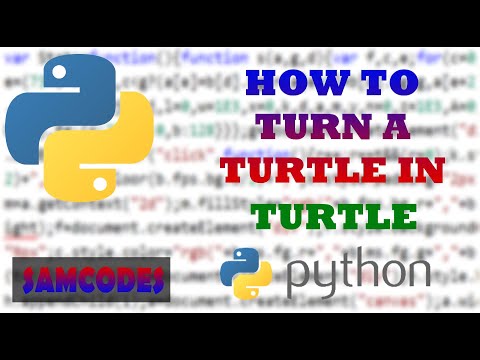 How to turn a turtle in turtle, Python