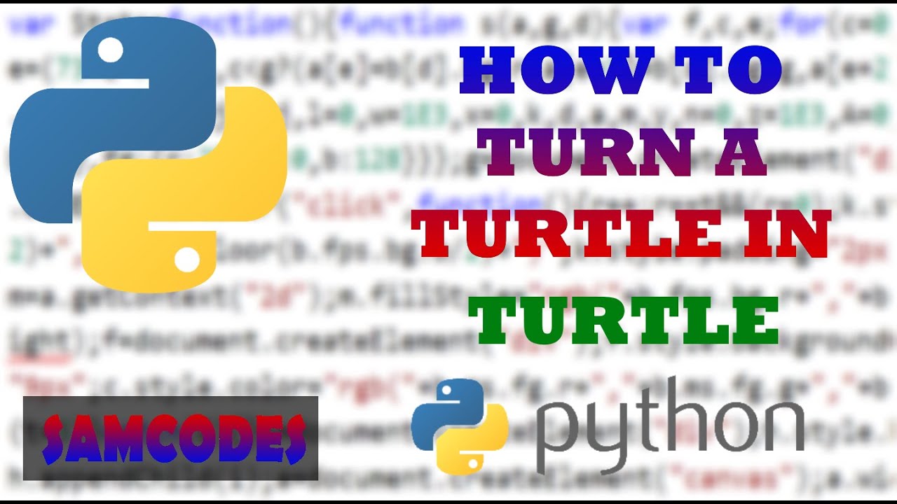 Controlling Turtle Direction in Python