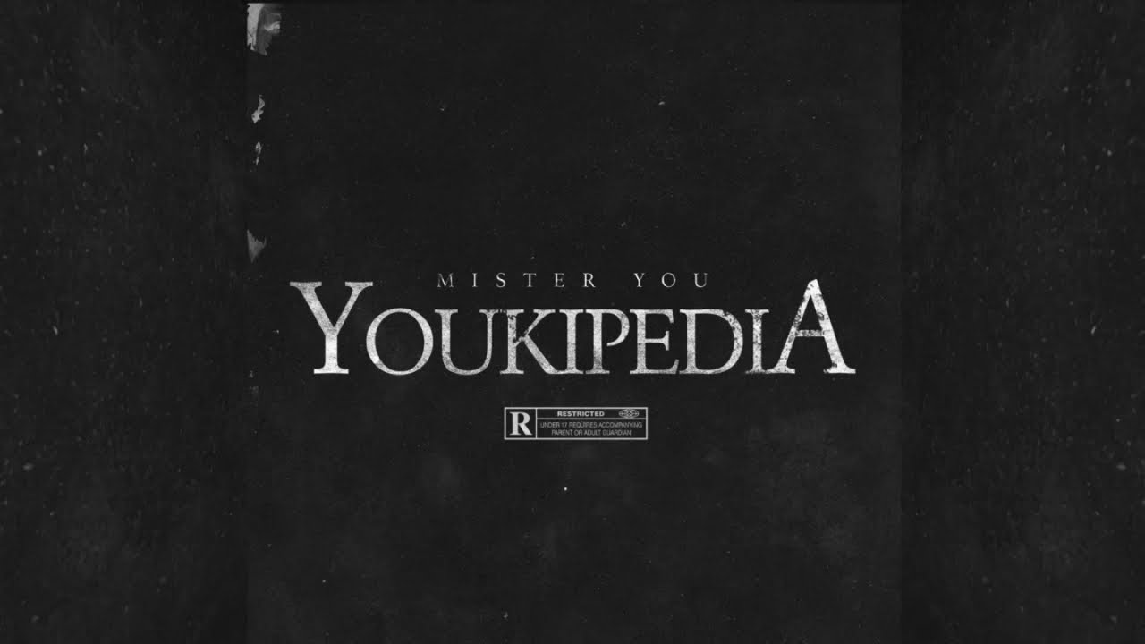 Mister You - Youkipedia (Official Audio) 🎶
