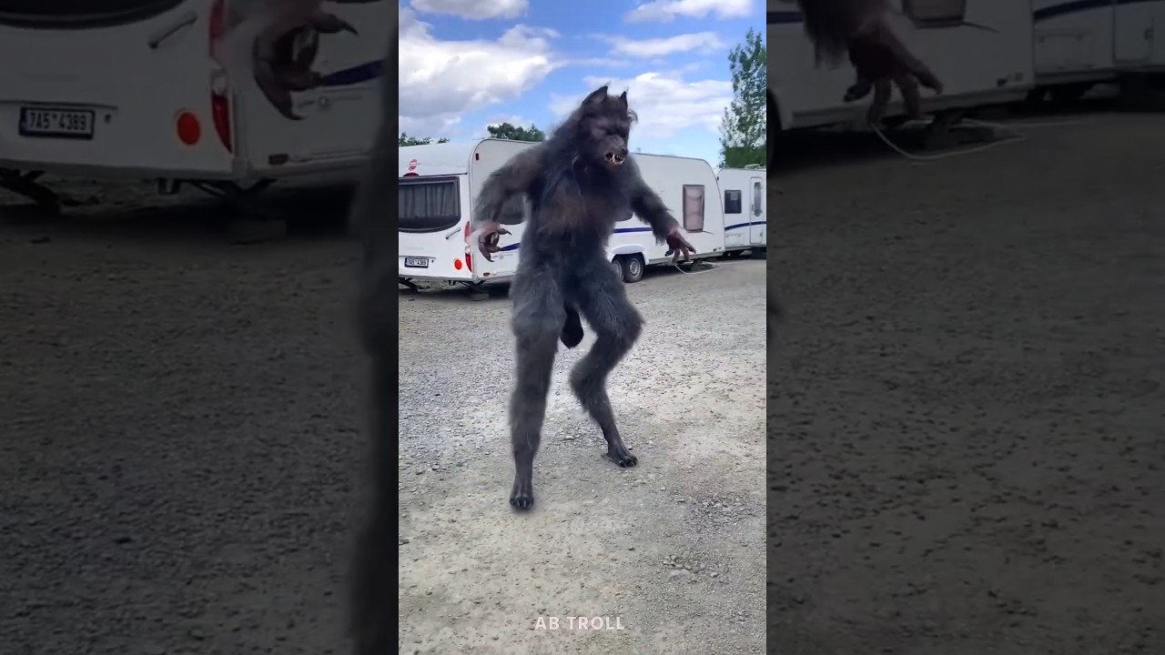 Black Wolf Can't Scare 💀 #shorts