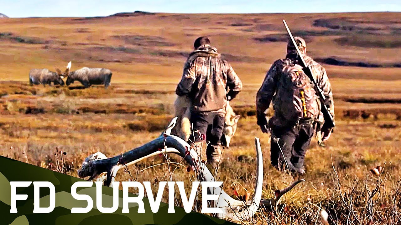 Dropped: Escape the Arctic | Complete Season | Survival Show