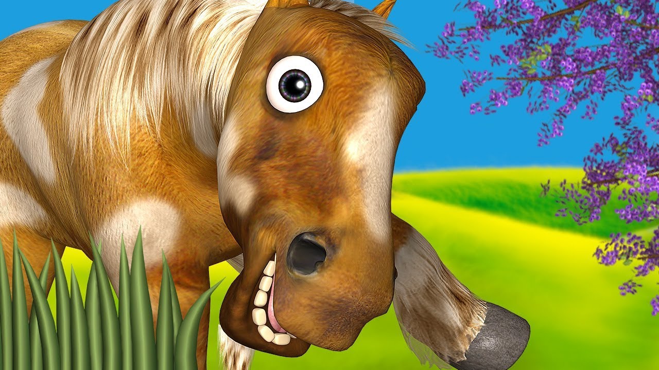 Meu Cavalo Meu Bretão na Fazenda do Zenon 🐴