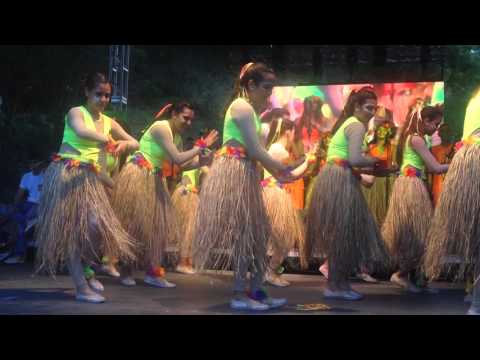 Gaitas Colegio San Luis 2015 - Festival de gaitas Simón Bolívar II