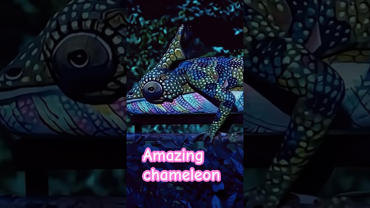 Chameleon Impresses on America's Got Talent 🎤