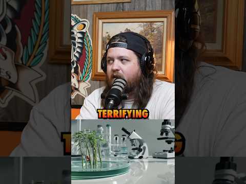 Ep.79 AI is advancing to fast?? #ninjasarebutterflies #podcast #comedy #sundaycool