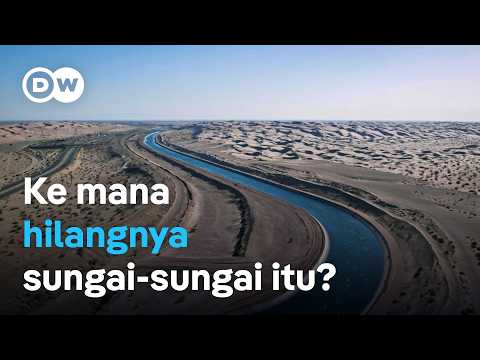 Sungai-sungai dunia terancam kering – Mengungkap krisis air di empat benua | DW Dokumenter