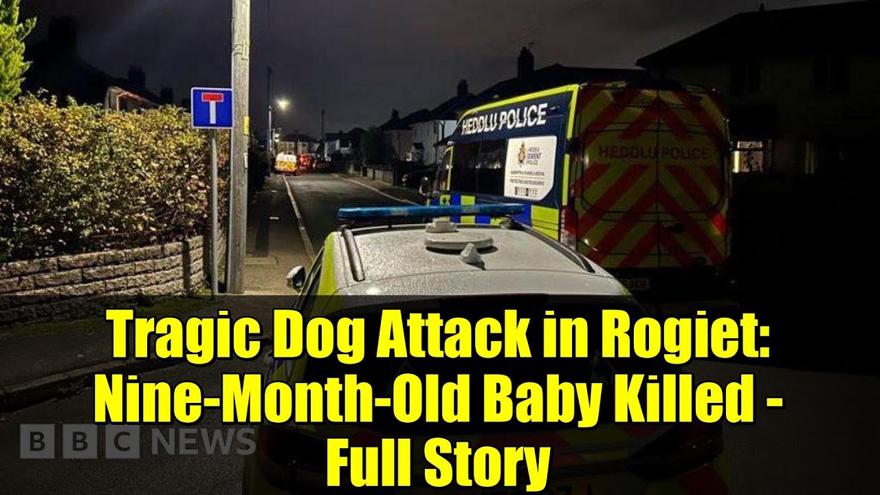Tragic Dog Attack in Rogiet Claims Infant’s Life 🐶💔