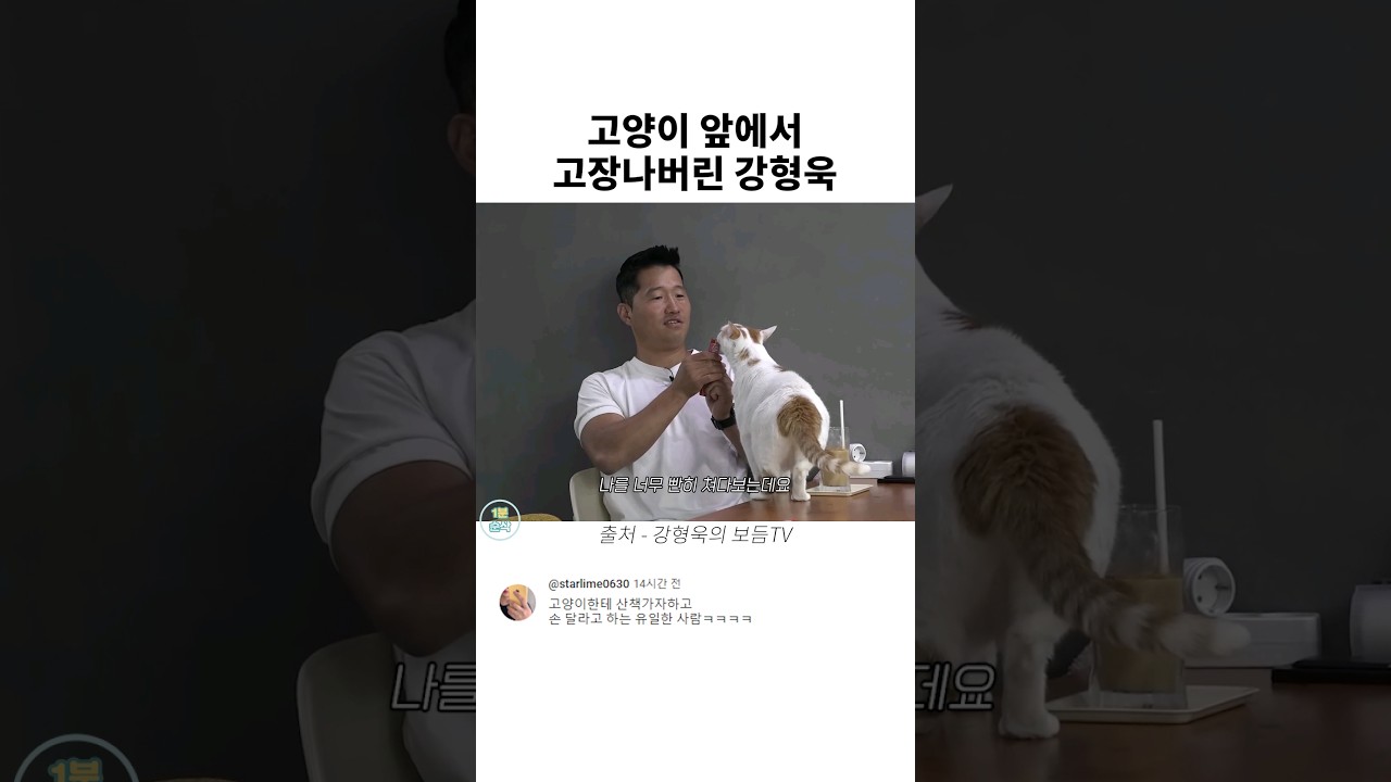 고양이 앞 강형욱의 웃픈 순간 🐱