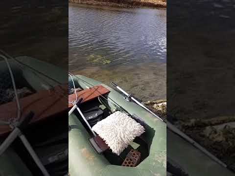 Рыбалка в Колыванском районе с Нсо 🎣