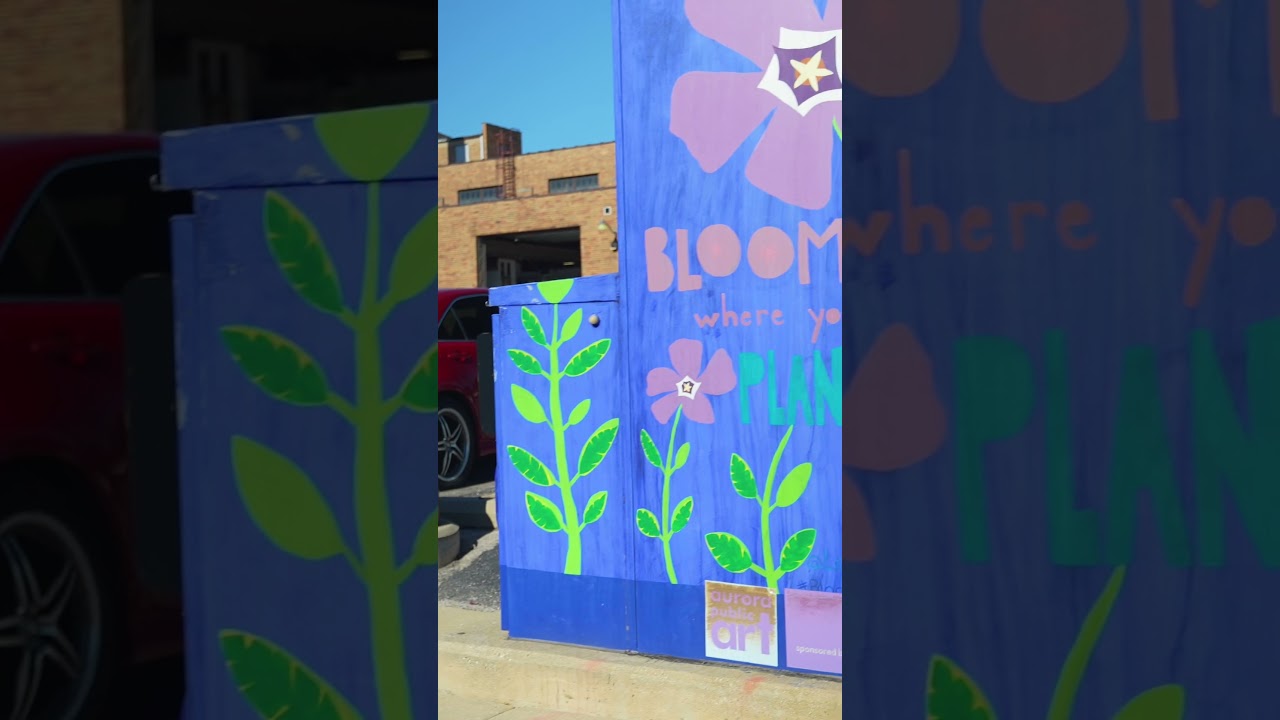 Celebrating International Artists Day! 🎨 Honoring Aurora's Creative Community