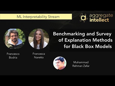 Benchmarking and Survey of Explanation Methods for Black Box Models | AISC
