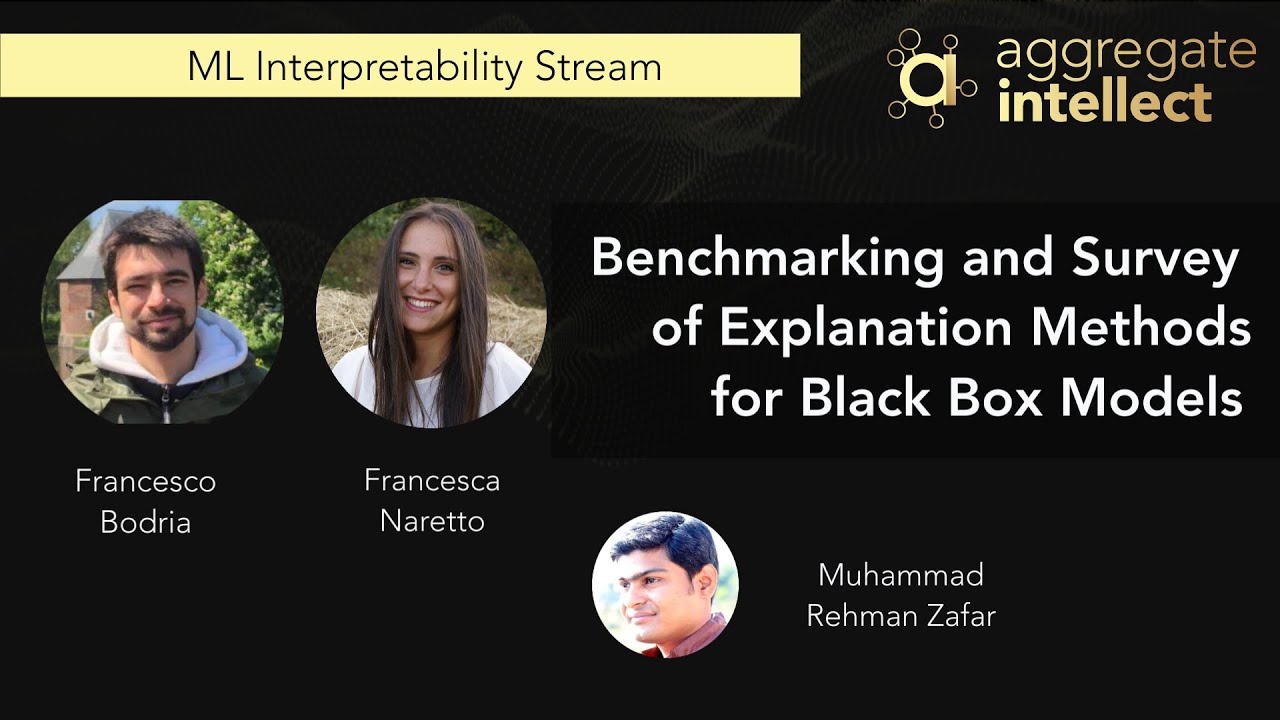 Comprehensive Benchmark & Survey of Black Box Model Explanation Techniques ๐