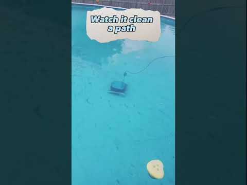 Dolphin Nautilus CC Robotic Pool Vacuum Cleaner Review