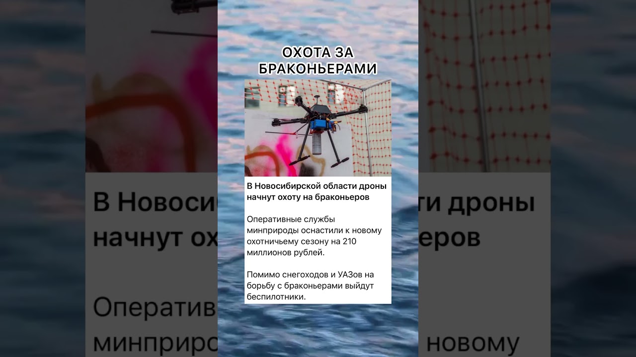 НСО охотится на браконьеров 🚁