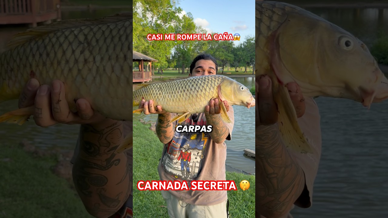 Carnada Casera para Carpa 🎣