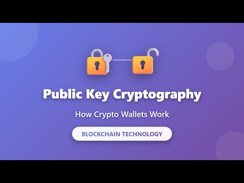 Public Key Cryptography Explained: How Crypto Wallets Work | Blockchain Basics