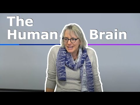 1. Introduction to the Human Brain - MIT 9.13 (Spring 2019)