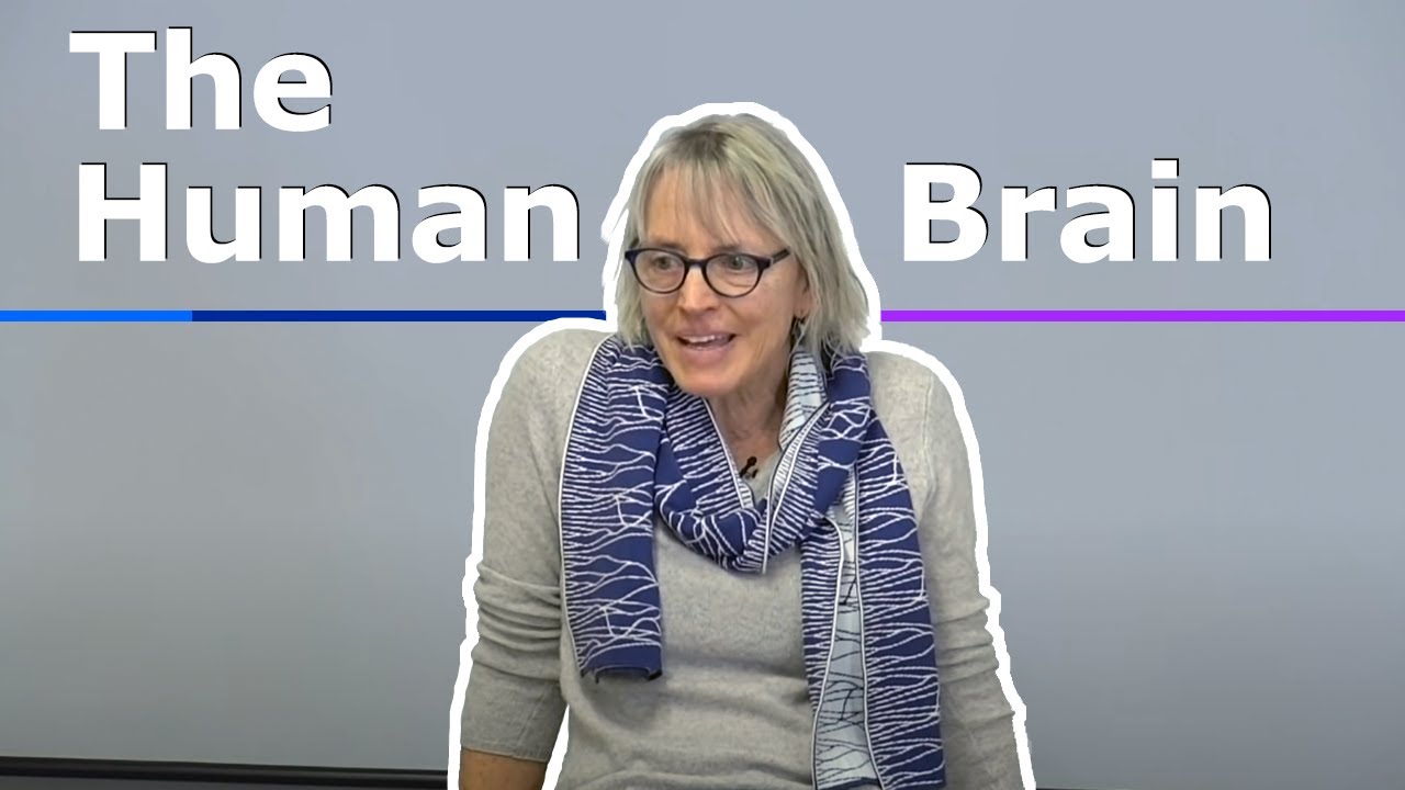 1. Introduction to the Human Brain - MIT 9.13 (Spring 2019)