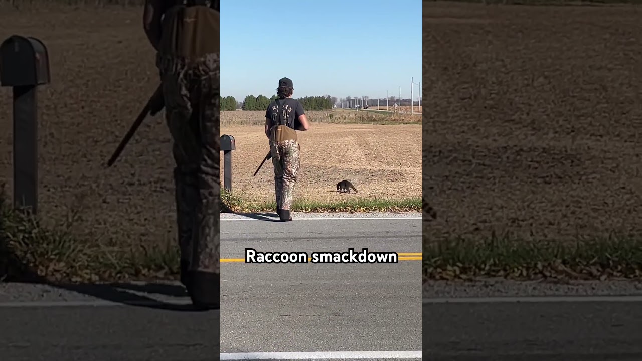 Man Attempts to Kill Raccoon 🦝