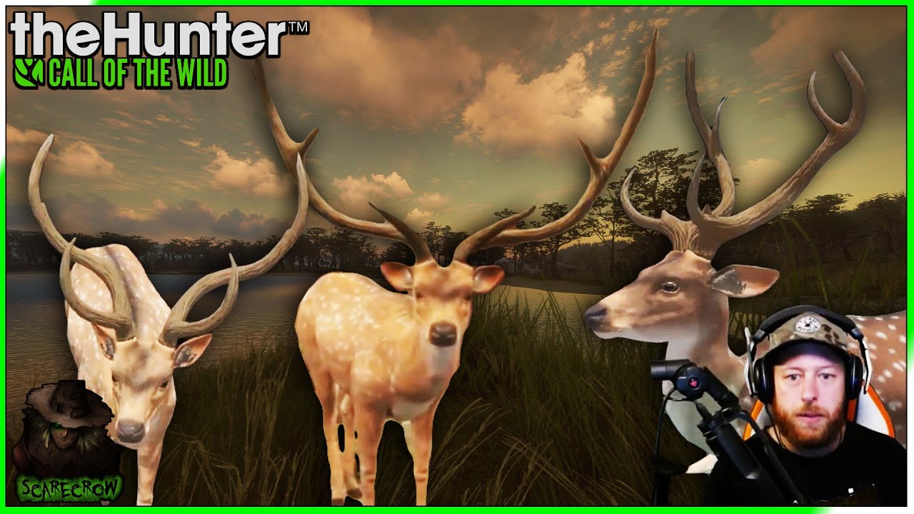 First Look at TruAxis! Diamond TruRACS Axis Deer 🦌