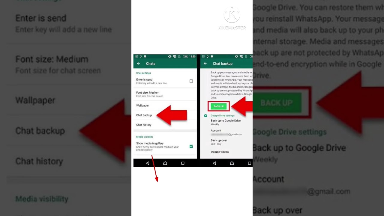 WhatsApp Unable to Open PDF Files on Mobile in 2025